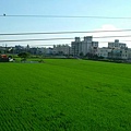 blog-2005053004.jpg