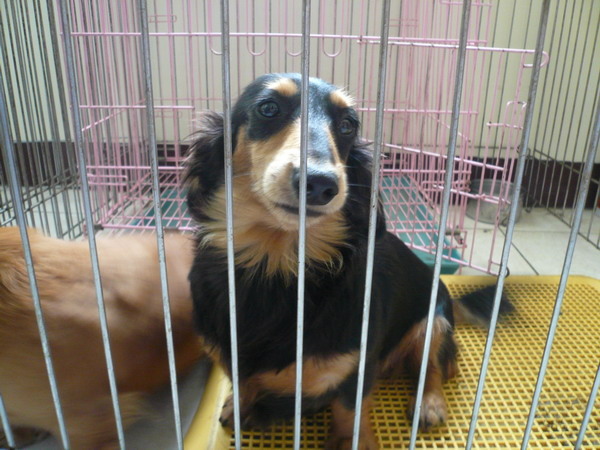 P1020016.JPG