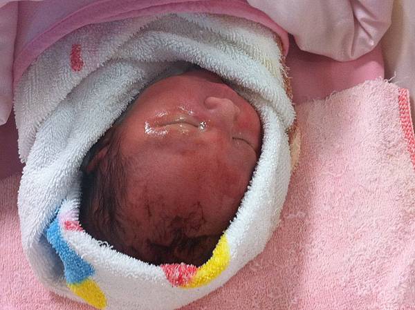 IMG_0868 - 複製.JPG