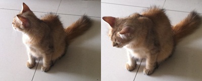 55 55