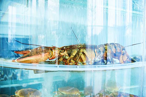 34208649820_654c1280b2_o.jpg 34208649820_654c1280b2_o.jpg