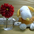 Snoopy&amp;Flower