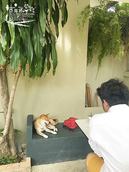 IMG_1132.jpg IMG_1132.jpg