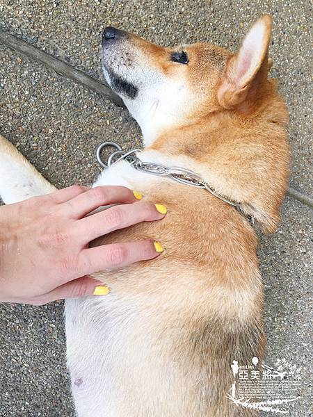 IMG_1129.jpg IMG_1129.jpg