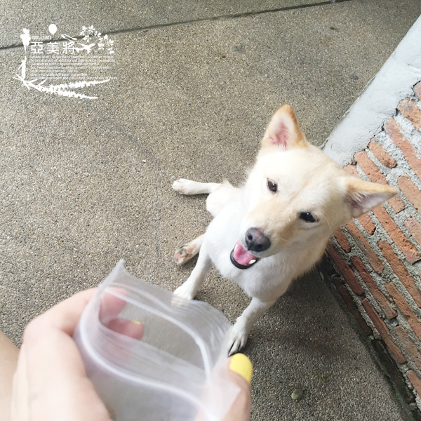 IMG_1169.jpg IMG_1169.jpg