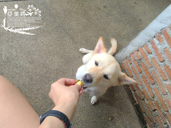 IMG_1172.jpg IMG_1172.jpg