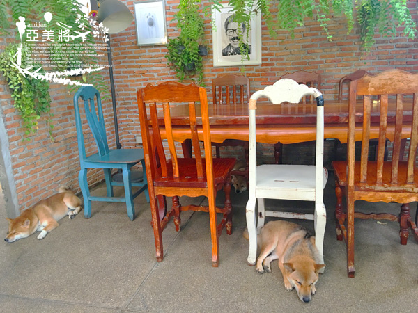 IMG_1196.jpg IMG_1196.jpg