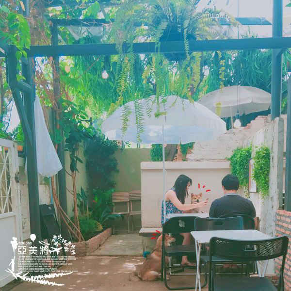 IMG_1572.jpg IMG_1572.jpg