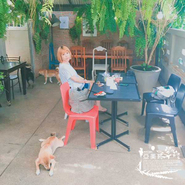 IMG_1590.jpg IMG_1590.jpg