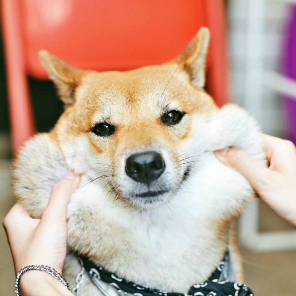 IMG_1788.JPG IMG_1788.JPG