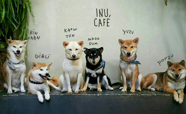 IMG_1790.JPG IMG_1790.JPG