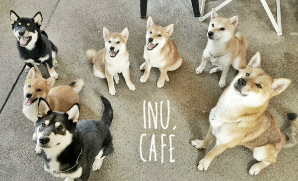 IMG_1787.JPG IMG_1787.JPG