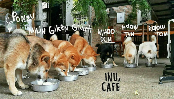 IMG_1789.JPG IMG_1789.JPG