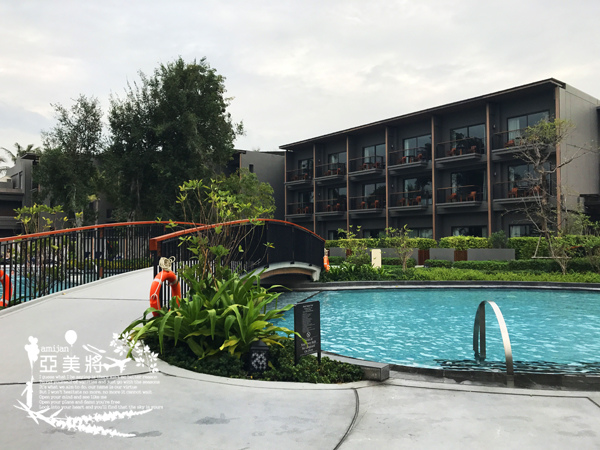 IMG_5911.jpg IMG_5911.jpg