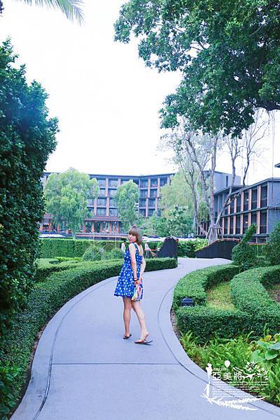 IMG_6226.jpg IMG_6226.jpg