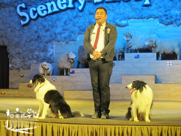 IMG_0121.jpg IMG_0121.jpg