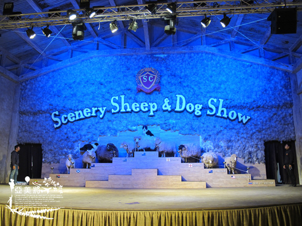 IMG_0112.jpg IMG_0112.jpg