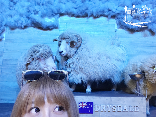 IMG_7432.jpg IMG_7432.jpg