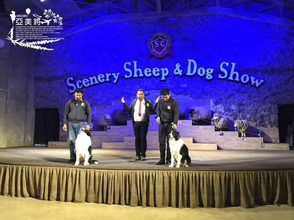 IMG_7425.jpg IMG_7425.jpg