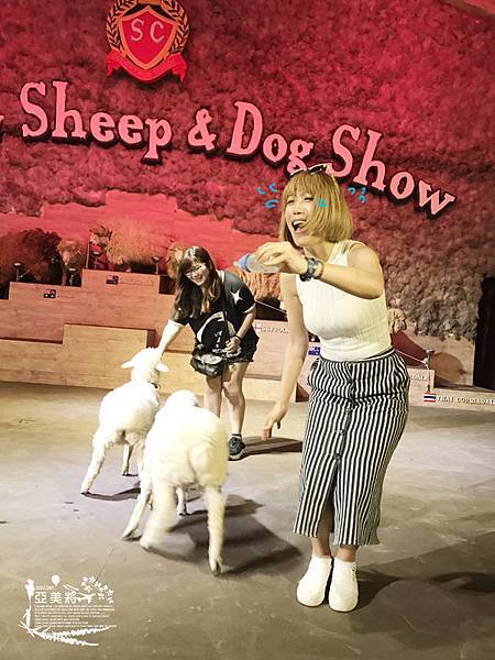 IMG_7414.jpg IMG_7414.jpg