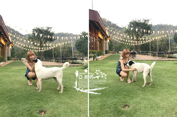 IMG_7502.jpg IMG_7502.jpg