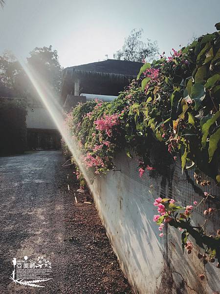 IMG_7809.jpg IMG_7809.jpg