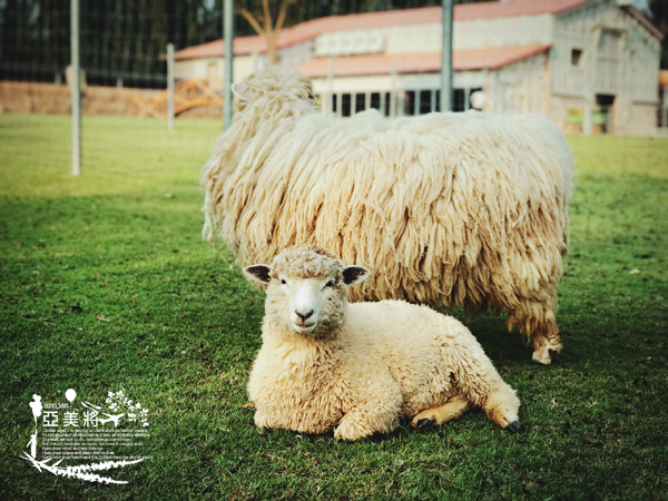 IMG_7812.jpg IMG_7812.jpg