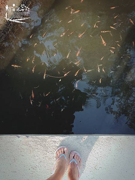 IMG_7814.jpg IMG_7814.jpg