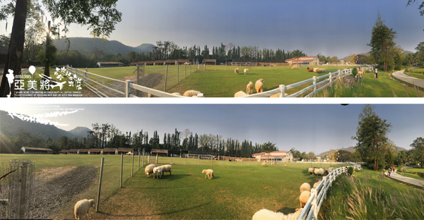 OZRV3392.jpg OZRV3392.jpg