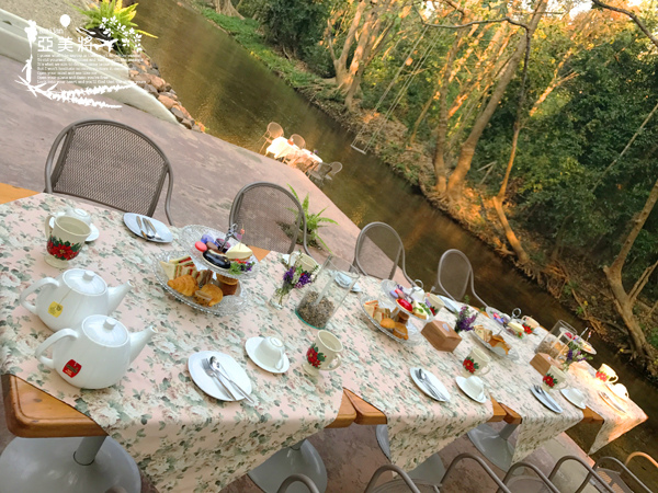 IMG_7450.jpg IMG_7450.jpg