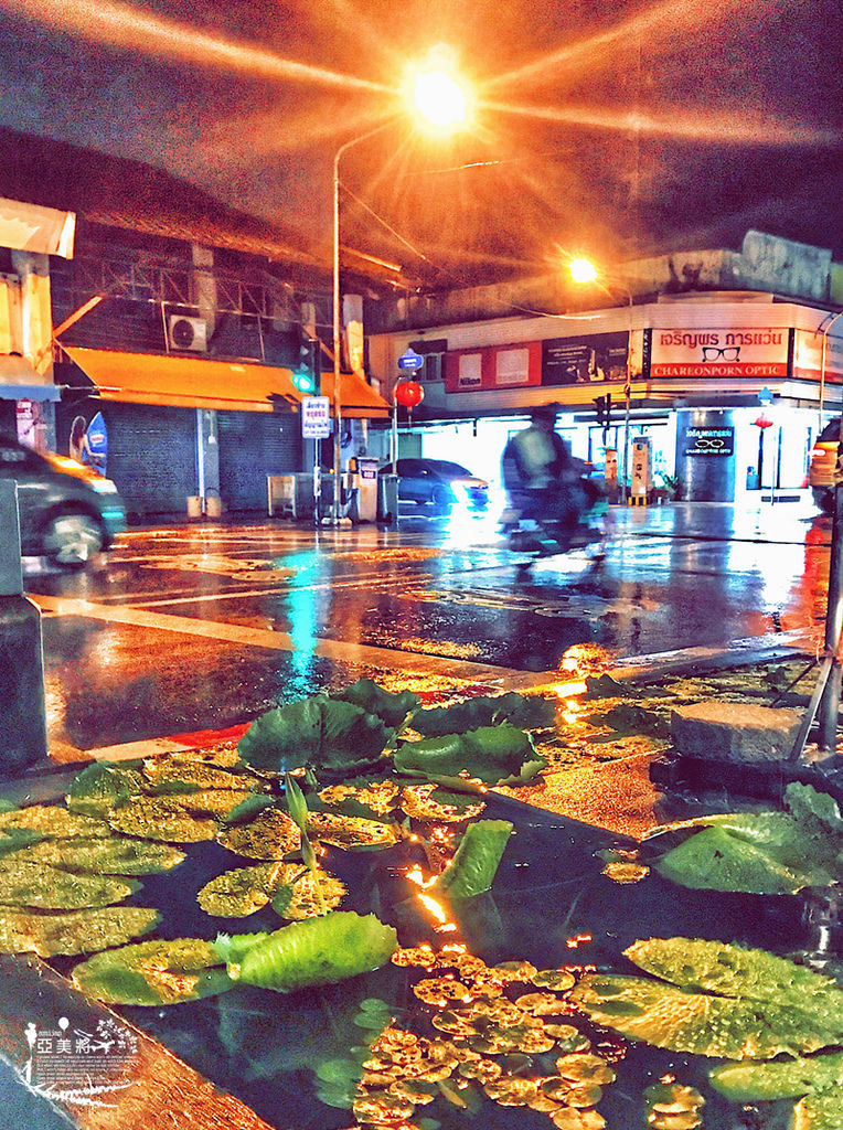 IMG_0085.jpg IMG_0085.jpg