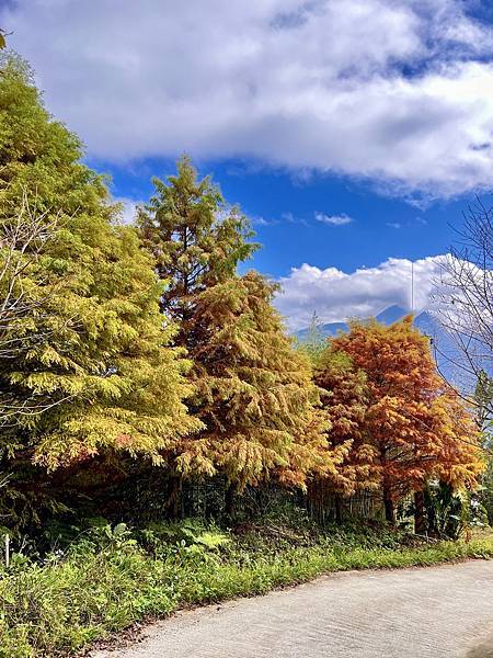 ❤旅宿分享❤ 迦南山莊。新竹深山避風港 雲海的故鄉