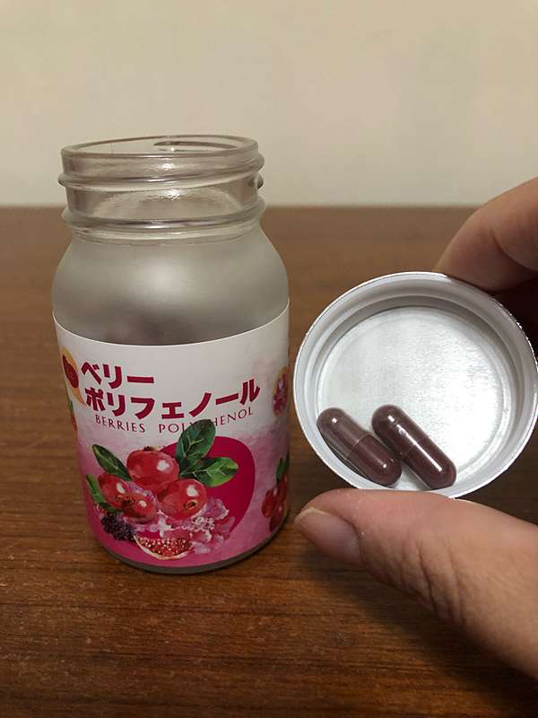 試用