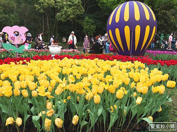 【旅食.士林】日荷土異國鬱金香爭奇鬥艷!士林官邸賞鬱金香花海