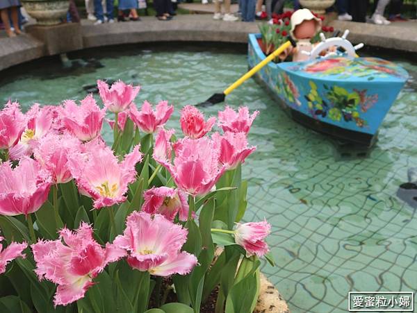 【旅食.士林】日荷土異國鬱金香爭奇鬥艷!士林官邸賞鬱金香花海