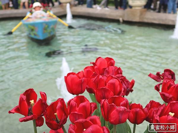 【旅食.士林】日荷土異國鬱金香爭奇鬥艷!士林官邸賞鬱金香花海