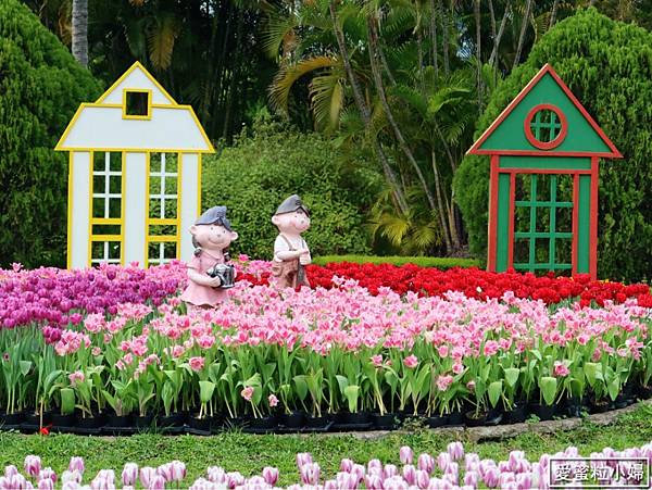 【旅食.士林】日荷土異國鬱金香爭奇鬥艷!士林官邸賞鬱金香花海