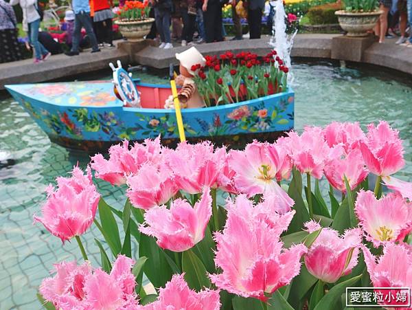 【旅食.士林】日荷土異國鬱金香爭奇鬥艷!士林官邸賞鬱金香花海