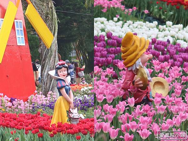 【旅食.士林】日荷土異國鬱金香爭奇鬥艷!士林官邸賞鬱金香花海