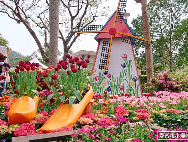 【旅食.士林】日荷土異國鬱金香爭奇鬥艷!士林官邸賞鬱金香花海