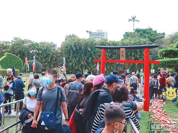 【旅食.士林】日荷土異國鬱金香爭奇鬥艷!士林官邸賞鬱金香花海