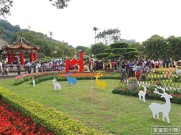 【旅食.士林】日荷土異國鬱金香爭奇鬥艷!士林官邸賞鬱金香花海