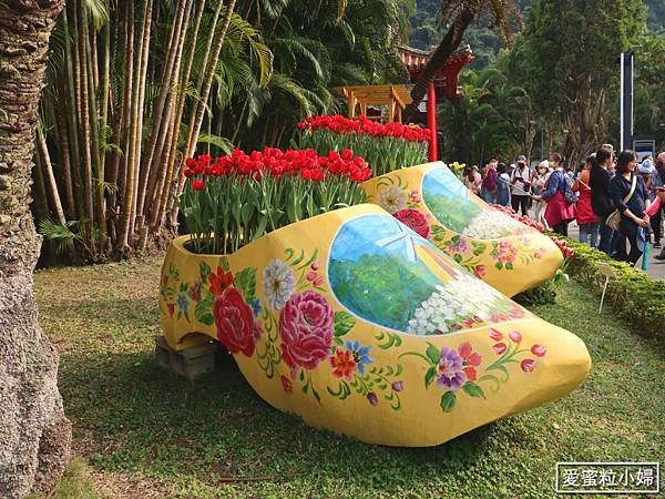 【旅食.士林】日荷土異國鬱金香爭奇鬥艷!士林官邸賞鬱金香花海