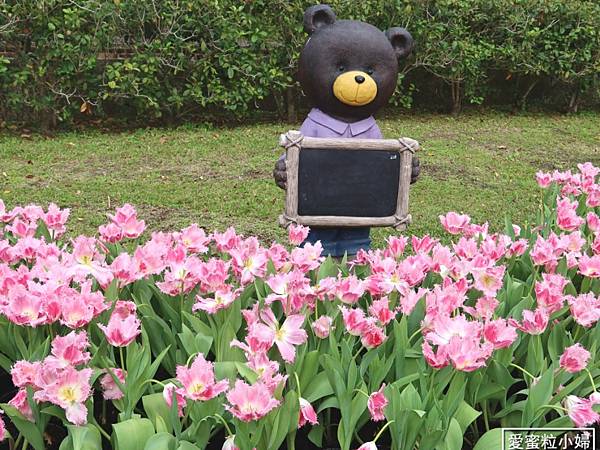 【旅食.士林】日荷土異國鬱金香爭奇鬥艷!士林官邸賞鬱金香花海