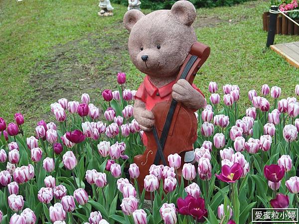 【旅食.士林】日荷土異國鬱金香爭奇鬥艷!士林官邸賞鬱金香花海