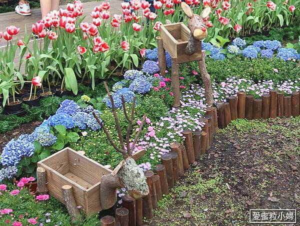 【旅食.士林】日荷土異國鬱金香爭奇鬥艷!士林官邸賞鬱金香花海
