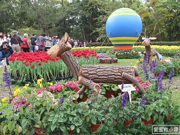 【旅食.士林】日荷土異國鬱金香爭奇鬥艷!士林官邸賞鬱金香花海