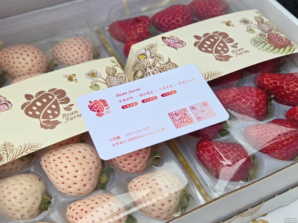 【旅食.苗栗】台灣職人農作珍稀的日本品種草莓，大湖「Bean