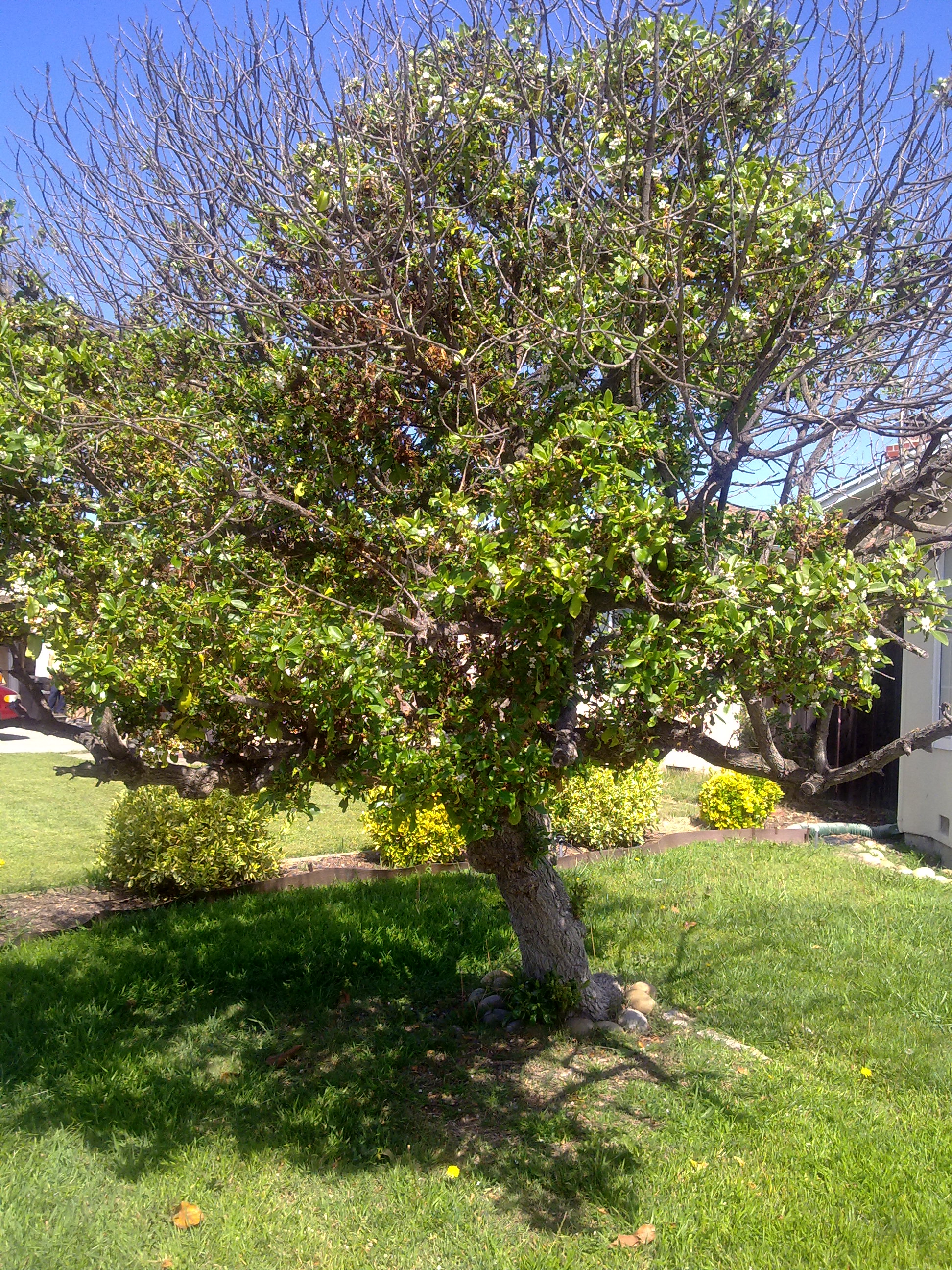 20100418334.jpg 20100418334.jpg
