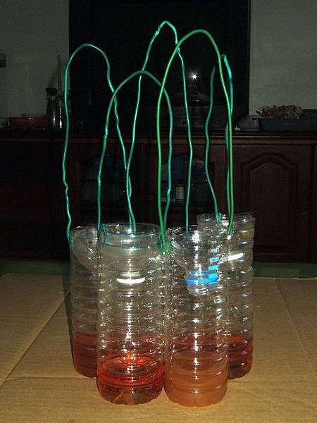 環保酵素誘捕果實蠅H